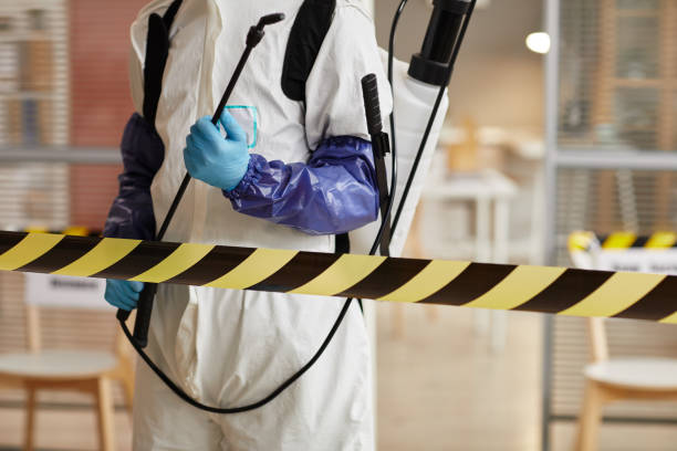 Professional Hoarding Cleanup technician working in Freeport, TX